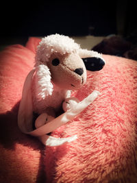 Close-up of stuffed toy
