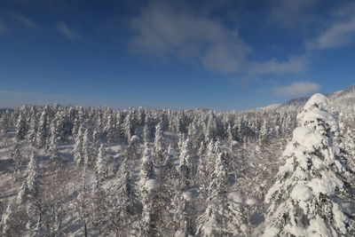 Low angle view of snowcapped mountain against sky