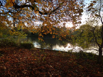 Scenic view of lake during autumn