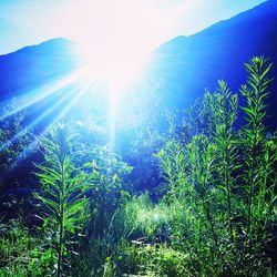 Scenic view of mountains