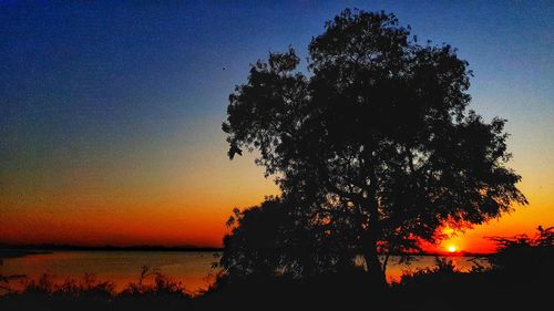 Silhouette trees against sky during sunset