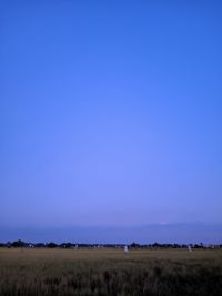 Scenic view of field against clear blue sky