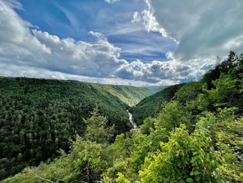 nature
