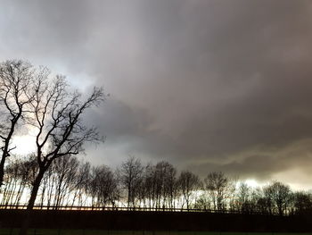 Silhouette bare trees on field against sky