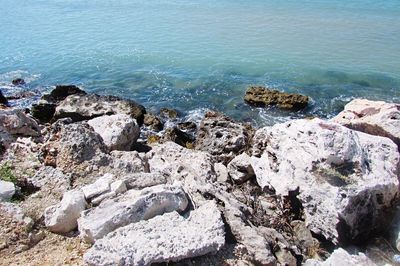 Rocks on beach