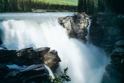 View of waterfall in forest