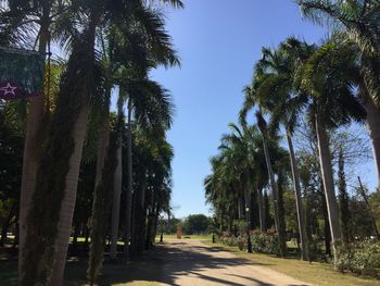 Road amidst trees against sky