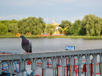 Bird perching on railing by river against sky