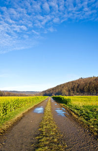 Road amidst field against sky