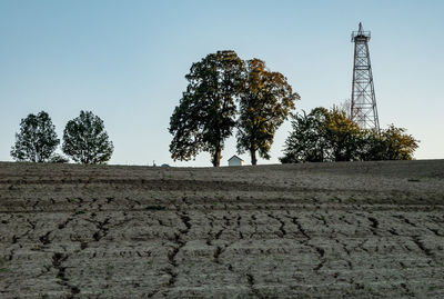 Low angle view of trees on field against clear sky