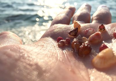 Close-up of pebbles on beach