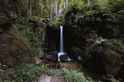 Stream flowing through rocks in forest