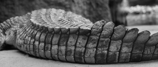 Close-up view of stone