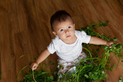 Portrait of cute baby boy sitting on field