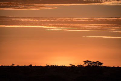 Scenic view of dramatic sky during sunset