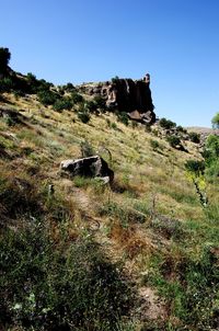 Scenic view of landscape against clear sky