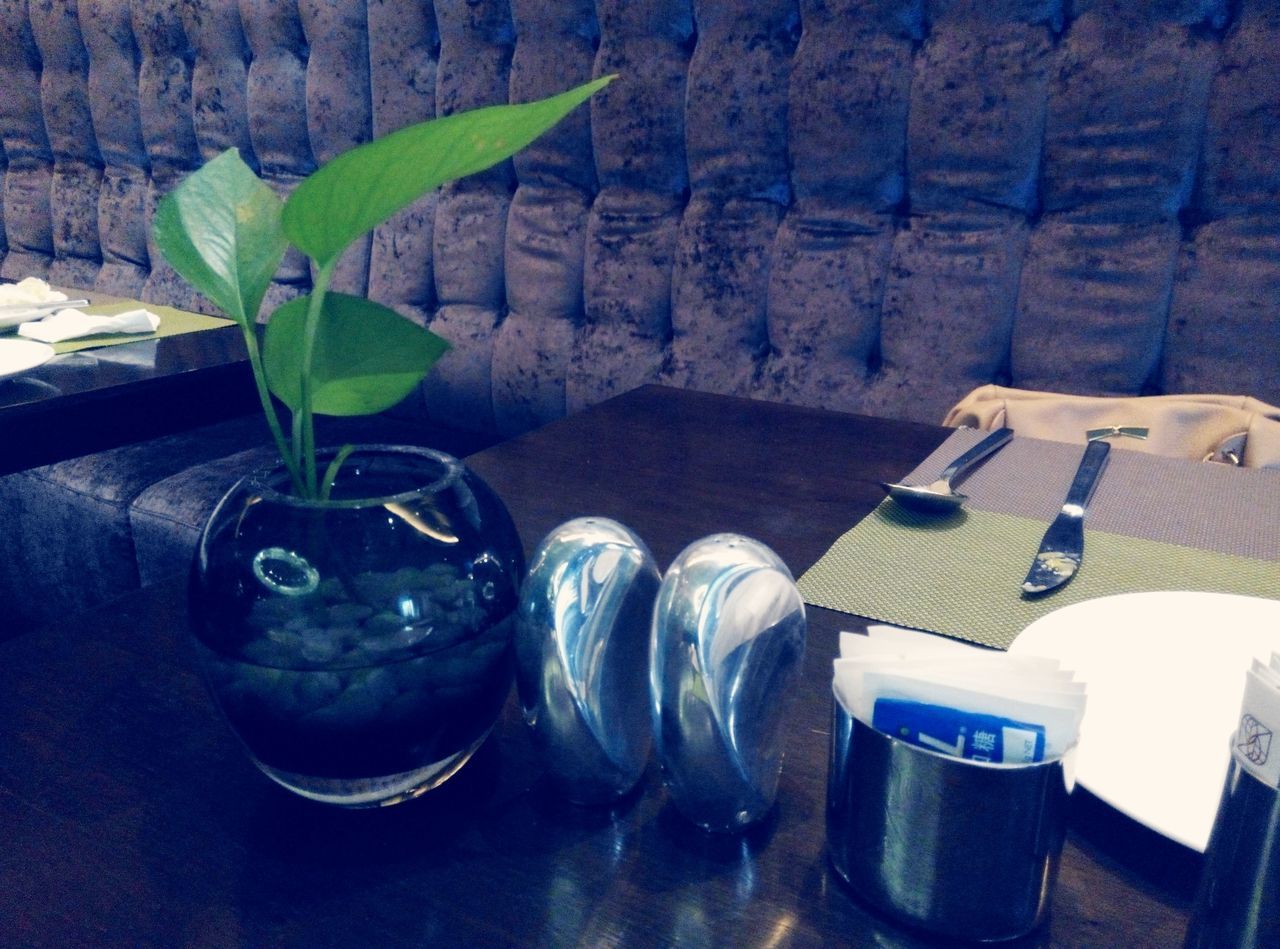 indoors, table, still life, close-up, high angle view, drink, freshness, no people, bottle, green color, refreshment, food and drink, day, focus on foreground, potted plant, wood - material, leaf, plant, drinking glass, container