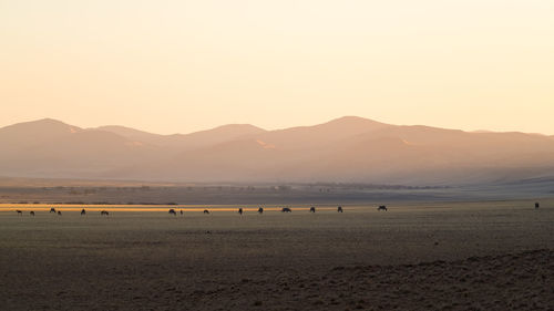 Scenic view of beach against clear sky during sunset