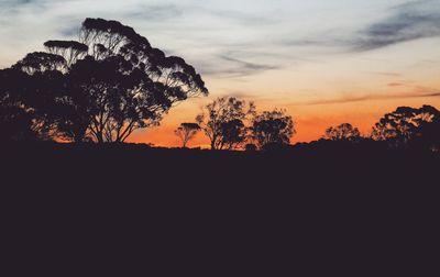 Silhouette trees on field against sky at sunset