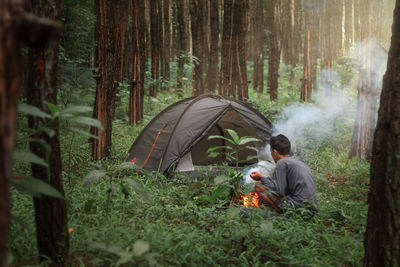 People in tent by trees in forest