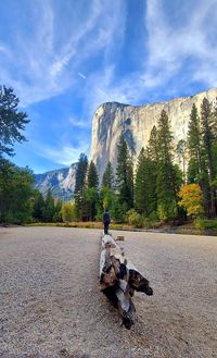 Peace at el capitan in yosemite