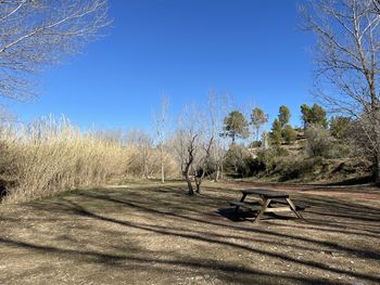 Trees on field against clear blue sky