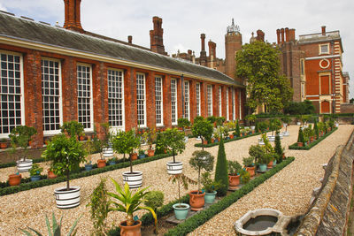 Hampton court, uk