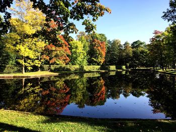 Reflection of trees in lake against sky