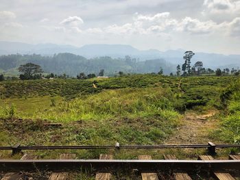 Scenic view of field against sky