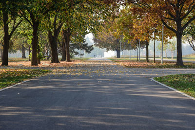 Road amidst trees in park during autumn