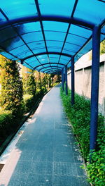 Road amidst trees in city against sky