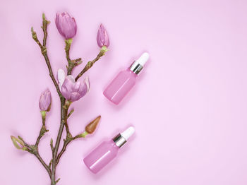 High angle view of flowers on table