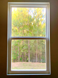 Trees seen through window of house