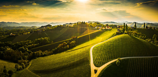 Panoramic view of agricultural field against sky during sunset. aerial view of austrian vineyards