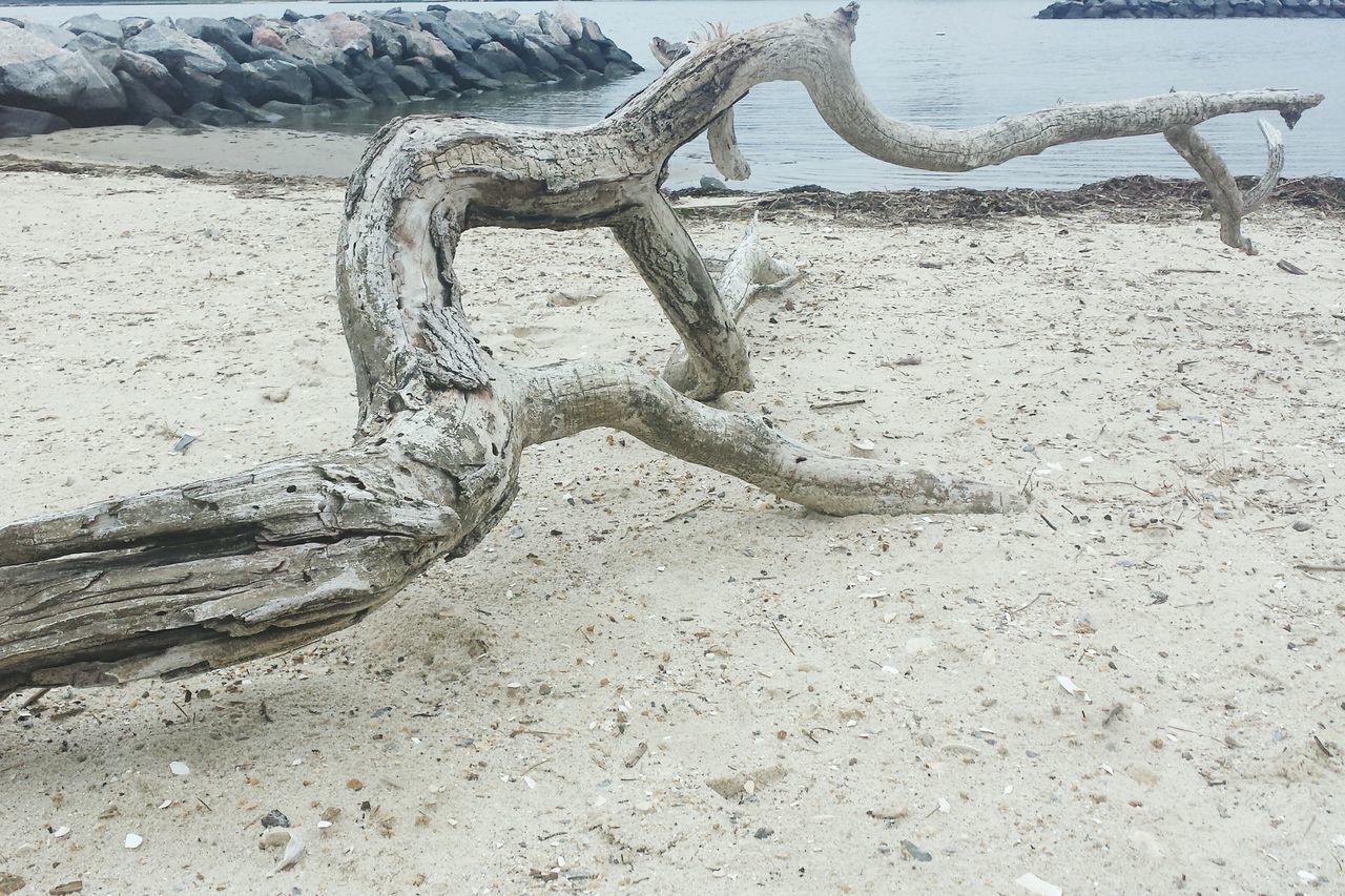 sand, water, day, outdoors, shadow, nature, no people, beach, sunlight, tranquility, high angle view, close-up, shore, built structure, sea, pattern, tree, architecture, wall - building feature, bare tree