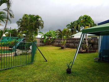 Palm trees on grass against sky