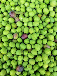 Close-up of freshly picked olives