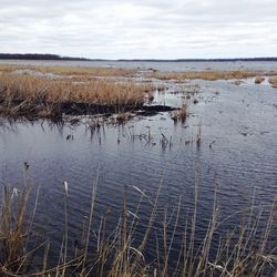 Scenic view of lake against sky