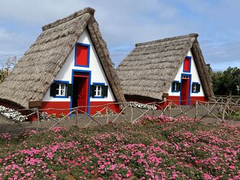 Red flowers on field by building against sky