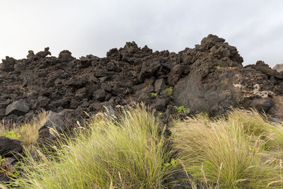 Scenic view of rock formation against sky