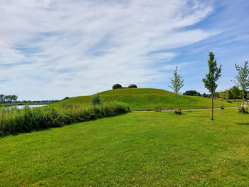 Scenic view of field against sky