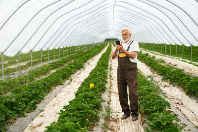 Full length of woman standing in greenhouse