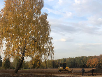 Trees on field against sky during autumn