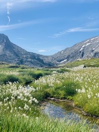 Scenic view of landscape against sky