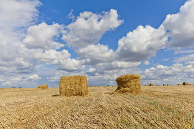 Harvest landscape with straw bales amongst fields in autumn, belarus