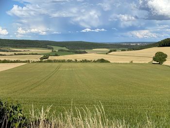 Scenic view of farm against sky