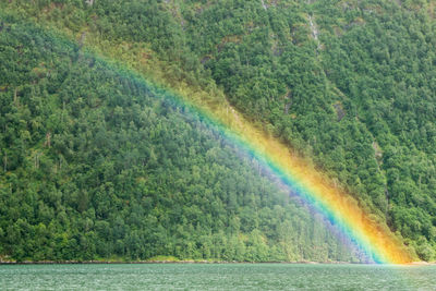 Rainbow over lake against trees