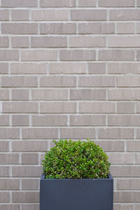 wall