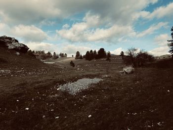 Scenic view of field against sky