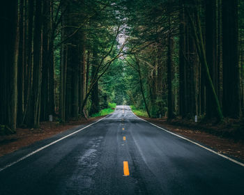 Road amidst trees in forest